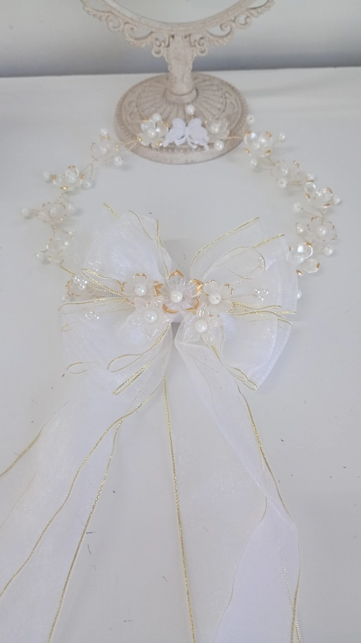 Tiara e Laço Encanto ( aramado)